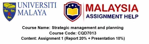 CBSM4203 Strategic Information System Assignment